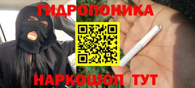 круглые Кимры